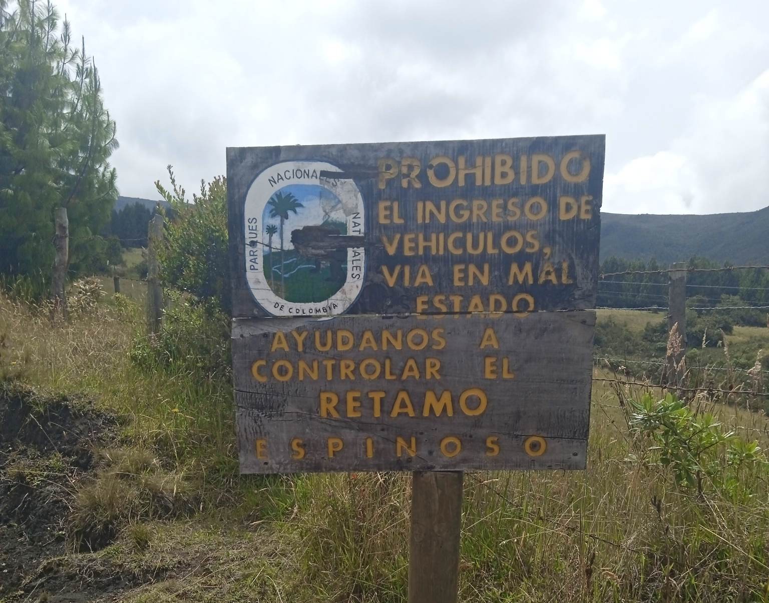 Valle halcones